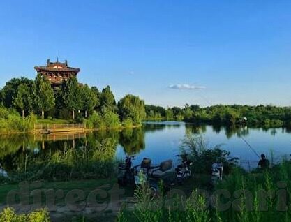 足球比分90捷报-绿茵烽火映90，足球比分90捷报背后的激情与梦想